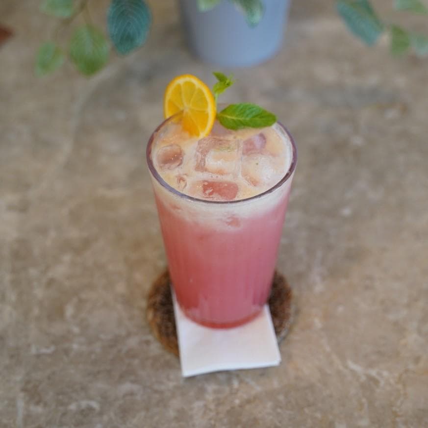 HIBISCUS LİMONATA
